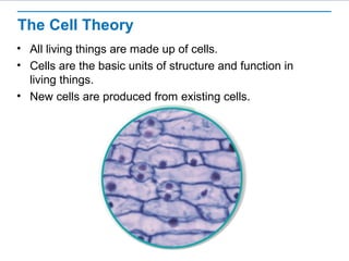 Cell Basics | PPT