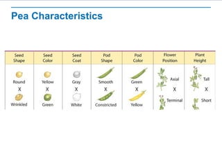 Pea Characteristics 
 