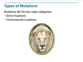 Mutations | PPT