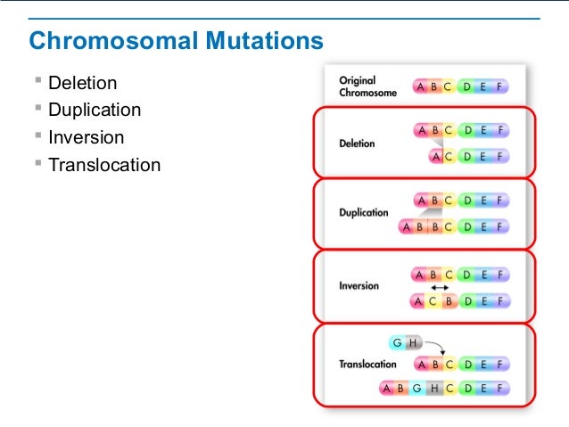 Mutations