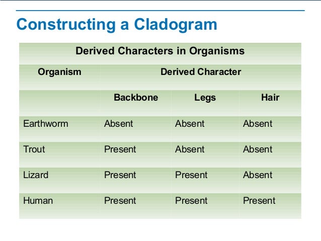 Evolutionary Classification clade diagram 