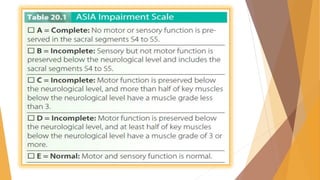 Spinal Cord Injury 2 | PDF