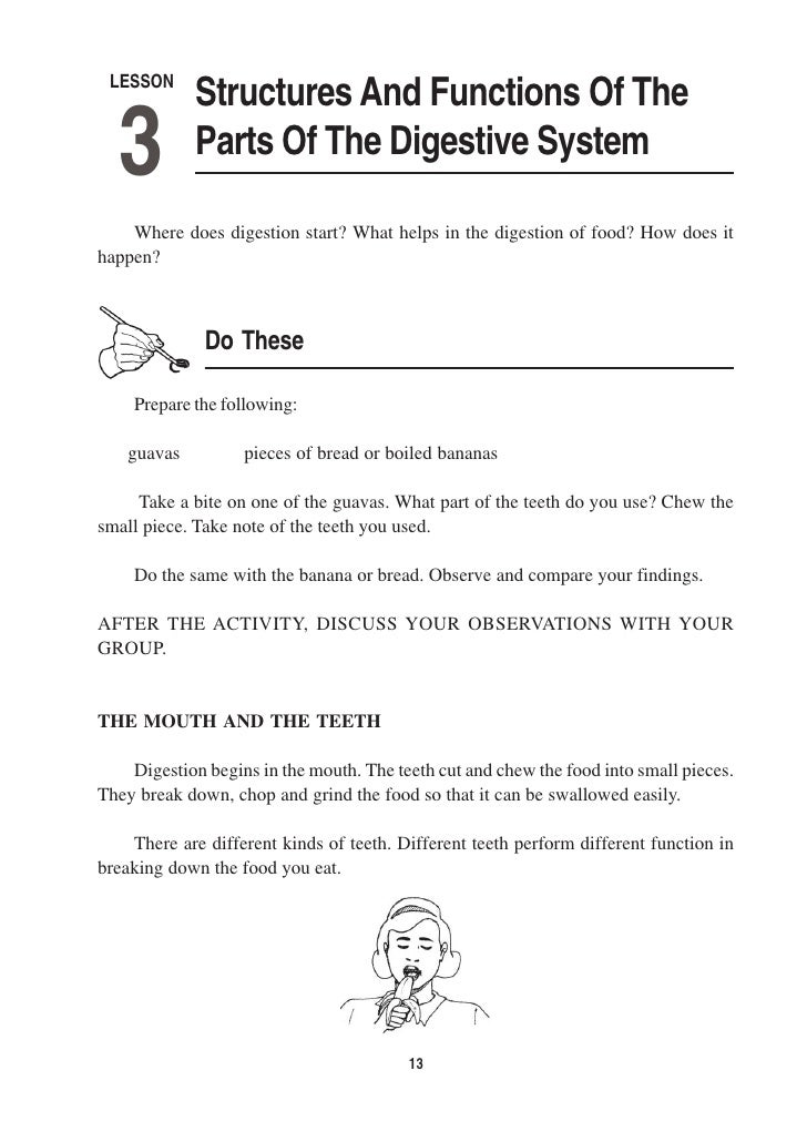 sci 241 digestive system The digestive system course science grade grade 4 section biology outcome the digestive system activity type interactive activity activity id 27782. sci 241 digestive system The digestive system course science grade grade 4 section biology outcome the digestive system activity type interactive activity activity id 27782.