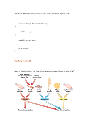 The amount of ATP produced by anaerobic versus aerobic metabolism depends on the:
amount of glycogen this is stored in the body.
availability of oxygen.
availability of amino acids.
pH of the blood.
Test Bank, Question 38
Based on the information in this visual, where can your muscles get glucose to fuel activity?
 