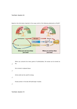 Test Bank, Question 34
Based on the information depicted in the visual, which of the following statements is FALSE?
When you consume too many grams of carbohydrate, the excess can be stored as
fat.
Fat is stored in adipose tissue.
Amino acids can be used for energy.
Excess protein in the diet will build larger muscles.
Test Bank, Question 16
 