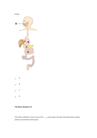protein.
A
B
C
D
Test Bank, Question 10
If the diet is deficient in one or more of the _____amino acids, the body must break down existing
proteins to provide the amino acids.
 