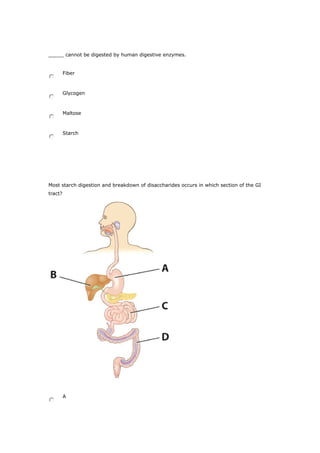 _____ cannot be digested by human digestive enzymes.
Fiber
Glycogen
Maltose
Starch
Most starch digestion and breakdown of disaccharides occurs in which section of the GI
tract?
A
 
