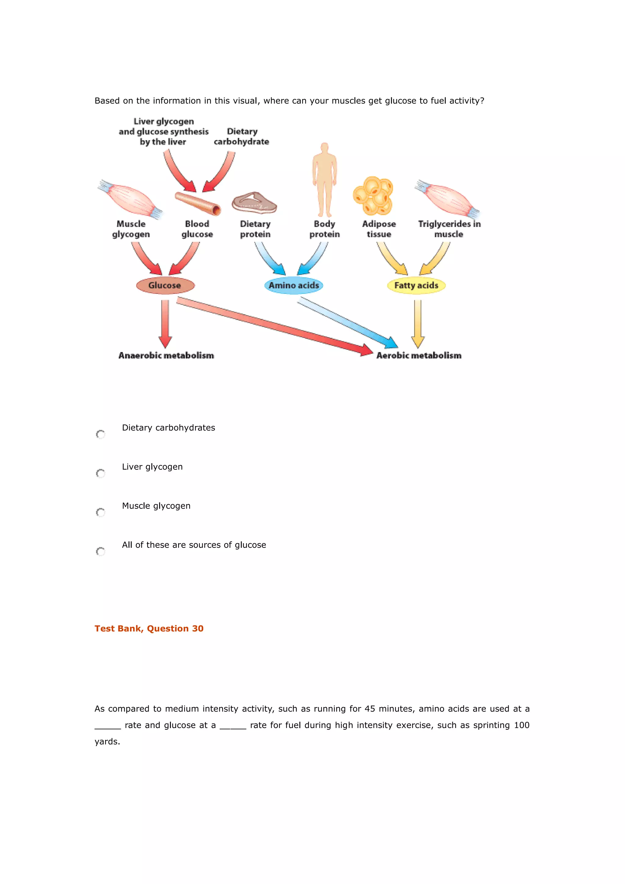 Based on the information in this visual, where can your muscles get glucose to fuel activity?
Dietary carbohydrates
Liver glycogen
Muscle glycogen
All of these are sources of glucose
Test Bank, Question 30
As compared to medium intensity activity, such as running for 45 minutes, amino acids are used at a
_____ rate and glucose at a _____ rate for fuel during high intensity exercise, such as sprinting 100
yards.
 