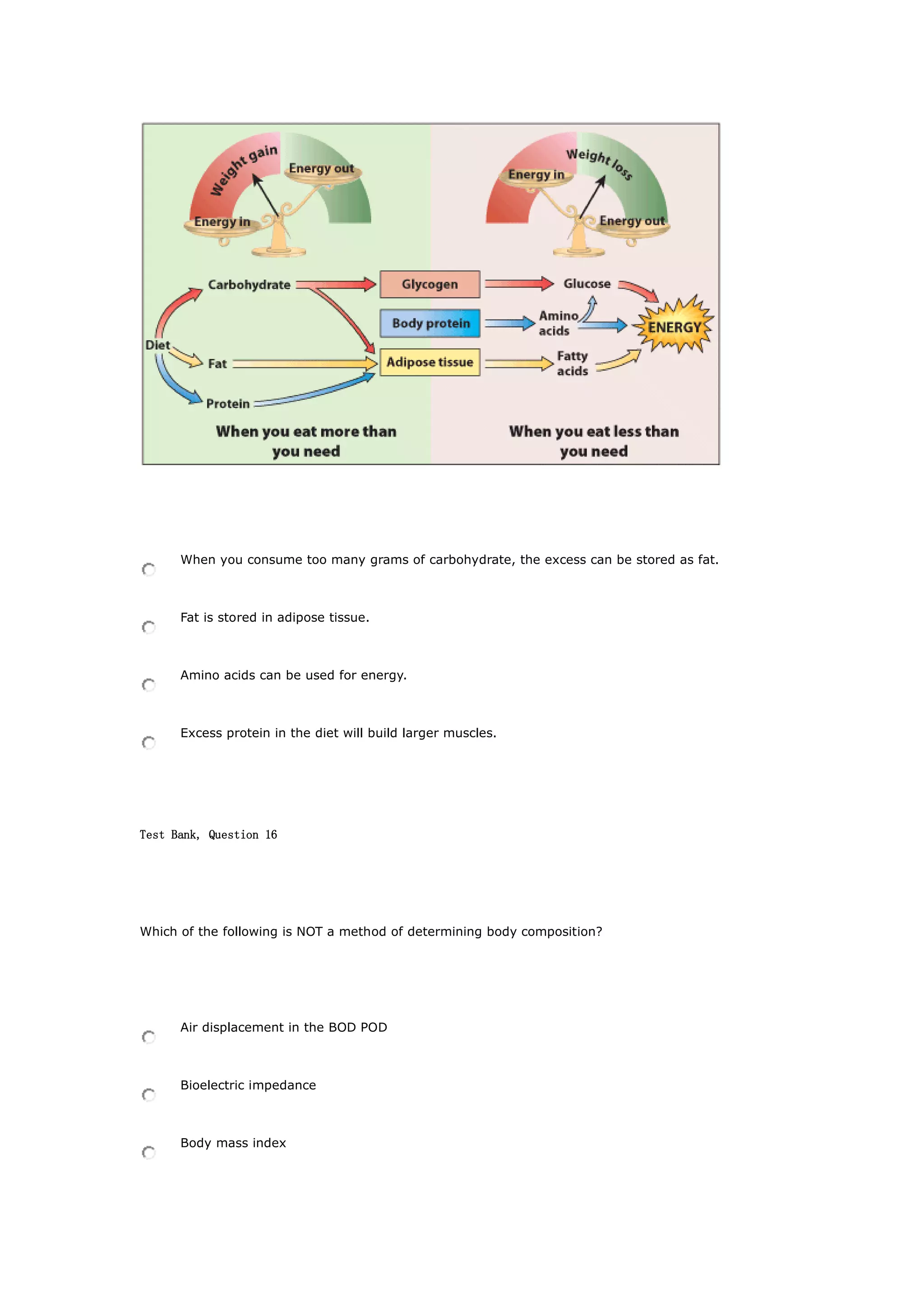 When you consume too many grams of carbohydrate, the excess can be stored as fat.
Fat is stored in adipose tissue.
Amino acids can be used for energy.
Excess protein in the diet will build larger muscles.
Test Bank, Question 16
Which of the following is NOT a method of determining body composition?
Air displacement in the BOD POD
Bioelectric impedance
Body mass index
 