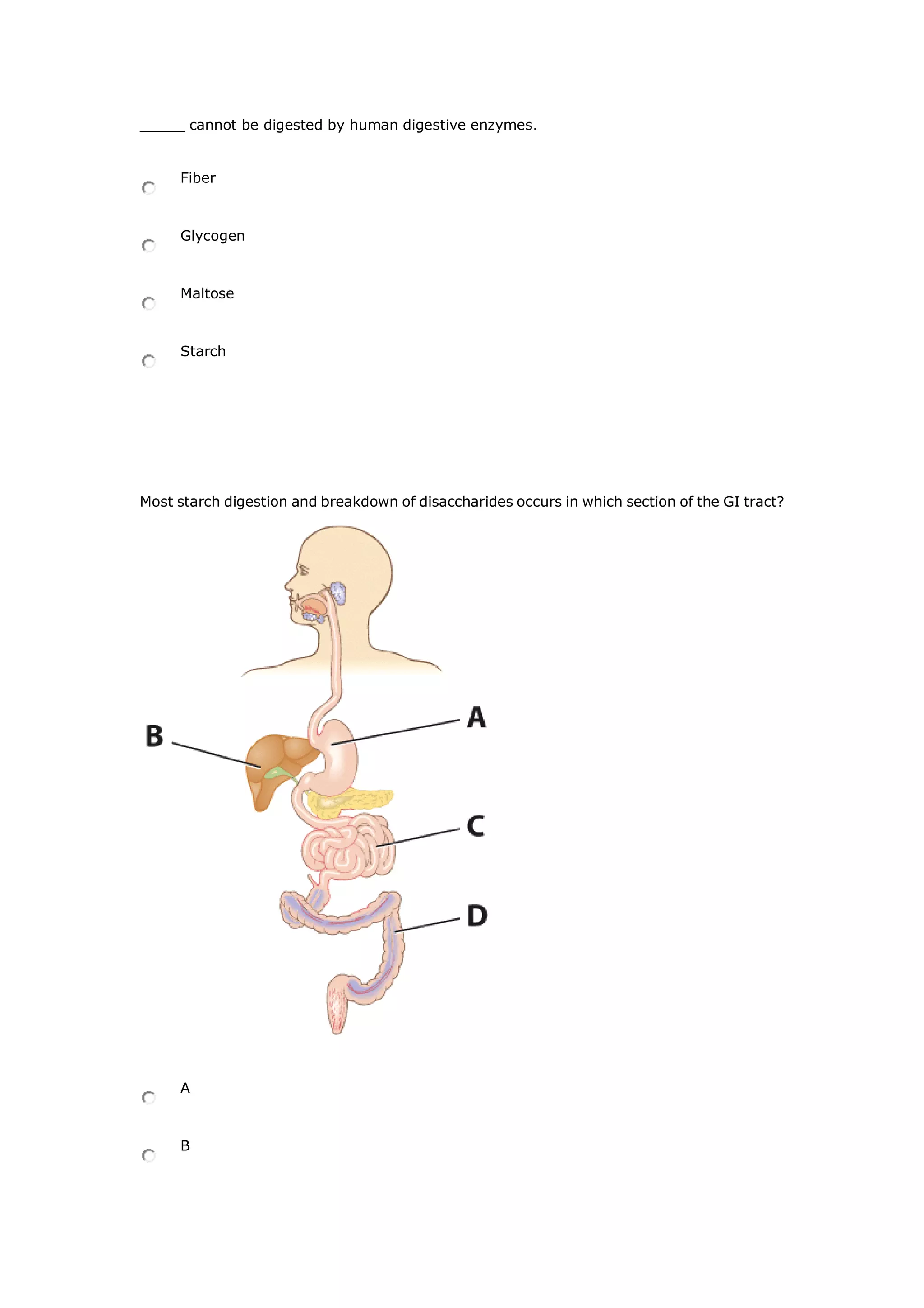 _____ cannot be digested by human digestive enzymes.
Fiber
Glycogen
Maltose
Starch
Most starch digestion and breakdown of disaccharides occurs in which section of the GI tract?
A
B
 