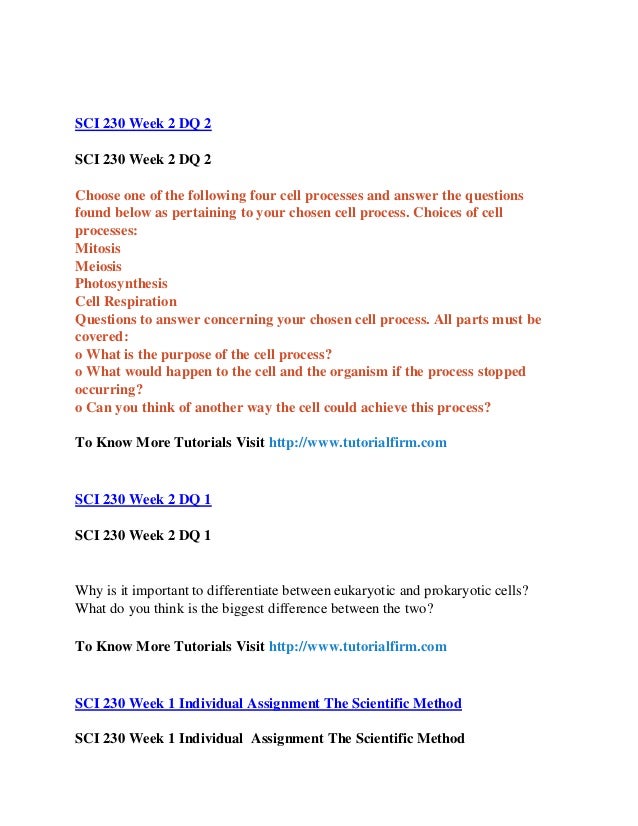 prokaryotic and eukaryotic cells worksheet provide a list describing at least three differences betw Week 2 prokaryotic and eukaryotic cells worksheet from provide a list describing at least three differences between prokaryotic and eukaryotic cells. prokaryotic and eukaryotic cells worksheet provide a list describing at least three differences betw Week 2 prokaryotic and eukaryotic cells worksheet from provide a list describing at least three differences between prokaryotic and eukaryotic cells.