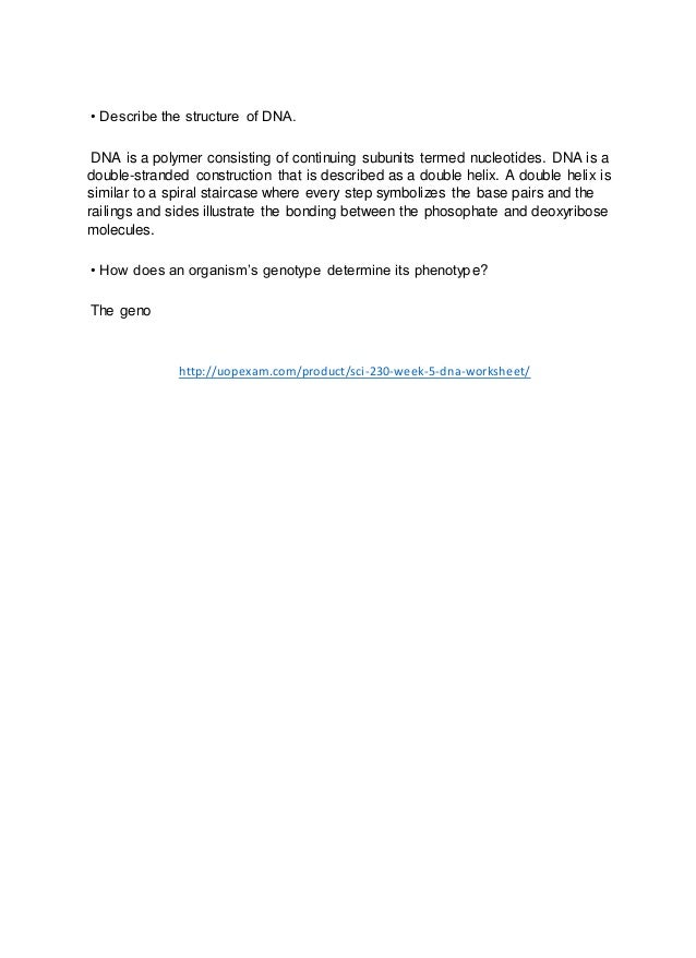 sci 230 dna Phoenix sci 230 entire course introduction to life science update course sci 230 week 5 dna worksheet sci 230 week 5 dna worksheet homeworkmade. sci 230 dna Phoenix sci 230 entire course introduction to life science update course sci 230 week 5 dna worksheet sci 230 week 5 dna worksheet homeworkmade.