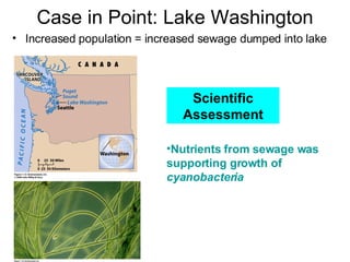 Case in Point: Lake Washington ,[object Object],[object Object],Scientific Assessment 