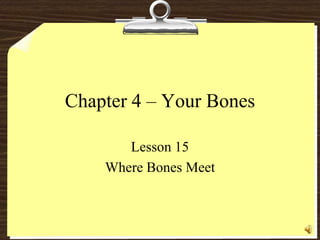 Chapter 4 – Your Bones Lesson 15 Where Bones Meet 