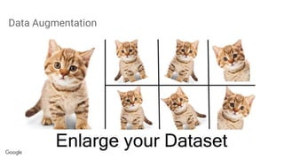Data Augmentation
 