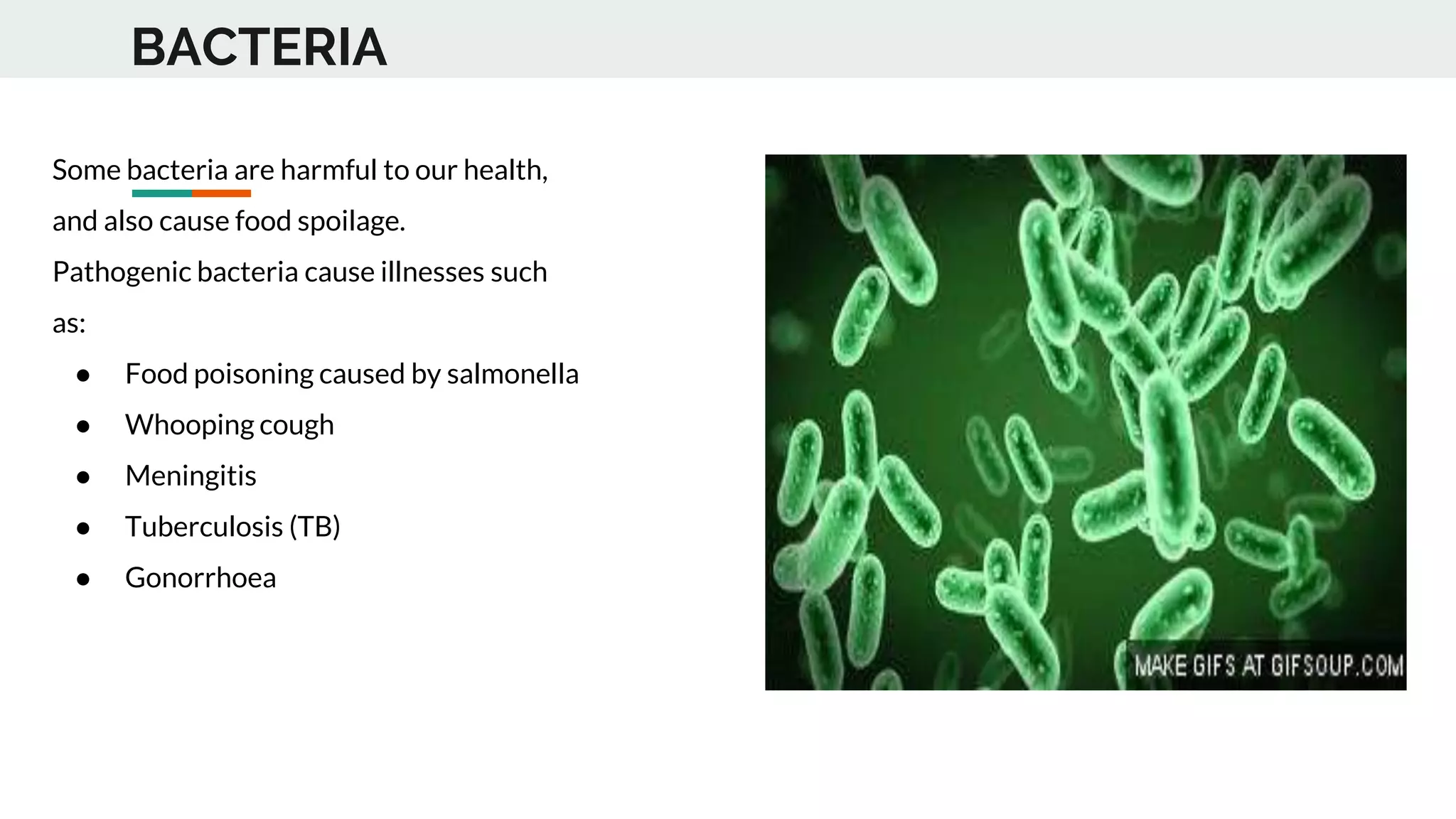 Sci4 lesson types of microbes | PPTX