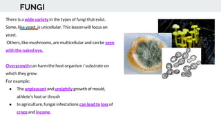 FUNGI
There is a wide variety in the types of fungi that exist.
Some, like yeast, is unicellular. This lesson will focus on
yeast.
Others, like mushrooms, are multicellular and can be seen
with the naked eye.
Overgrowth can harm the host organism / substrate on
which they grow.
For example:
● The unpleasant and unsightly growth of mould,
athlete’s foot or thrush
● In agriculture, fungal infestations can lead to loss of
crops and income.
 