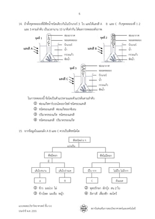 6
แบบทดสอบวิชาวิทยาศาสตร ชั้น ป.6
ประจําป พ.ศ. 2555
สถาบันสงเสริมการสอนวิทยาศาสตรและเทคโนโลยี
14. ถาตั้งชุดทดลองที่มีพืชน้ําชนิดเดียวกันในบีกเกอร 3 ใบ และใหแสงสี A B และ C กับชุดทดลองที่ 1 2
และ 3 ตามลําดับ เปนเวลานาน 10 นาทีเทากัน ไดผลการทดลองดังภาพ
ในการทดลองนี้ ขอใดเปนตัวแปรตามและตัวแปรตนตามลําดับ
 ฟองแกสคารบอนไดออกไซด ชนิดของแสงสี
 ชนิดของแสงสี ฟองแกสออกซิเจน
 ปริมาตรของแกส ชนิดของแสงสี
 ชนิดของแสงสี ปริมาตรของแกส
15. จากขอมูลในแผนผัง A B และ C ควรเปนพืชชนิดใด
 ขาว มะมวง ไผ  พุทธรักษา ผักบุง สน 2 ใบ
 ขาวโพด มะเขือ หญา  ลีลาวดี เฟองฟา ตะไคร
ชุดที่ 1 ชุดที่ 2
แสงสี A
ฟองอากาศ
น้ํา
หลอดทดลอง
บีกเกอร
พืชน้ํา
กรวยแกว
แสงสี B
ฟองอากาศ
น้ํา
หลอดทดลอง
บีกเกอร
พืชน้ํา
กรวยแกว
พืชชนิดตาง ๆ
พืชมีดอก
เสนใบขนาน เสนใบรางแห
A B
พืชไมมีดอก
มีใบ ราก ไมมีใบ ไมมีราก
C ตนมอส
แบงเปน
มี
ชุดที่ 3
แสงสี C
ฟองอากาศ
น้ํา
หลอดทดลอง
บีกเกอร
พืชน้ํา
กรวยแกว
 