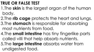 TRUE OR FALSE TEST
1.The skin is the largest organ of the human
body.
2.The rib cage protects the heart and lungs.
3.The stomach is responsible for absorbing
most nutrients from food.
4.The small intestine has tiny fingerlike parts
called villi that help absorb nutrients.
5.The large intestine absorbs water from
undigested food.
 