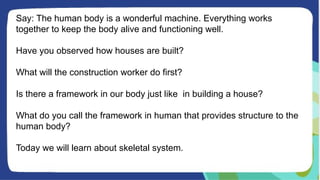 Say: The human body is a wonderful machine. Everything works
together to keep the body alive and functioning well.
Have you observed how houses are built?
What will the construction worker do first?
Is there a framework in our body just like in building a house?
What do you call the framework in human that provides structure to the
human body?
Today we will learn about skeletal system.
 