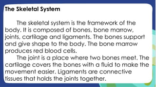 The Skeletal System
The skeletal system is the framework of the
body. It is composed of bones, bone marrow,
joints, cartilage and ligaments. The bones support
and give shape to the body. The bone marrow
produces red blood cells.
The joint is a place where two bones meet. The
cartilage covers the bones with a fluid to make the
movement easier. Ligaments are connective
tissues that holds the joints together.
 