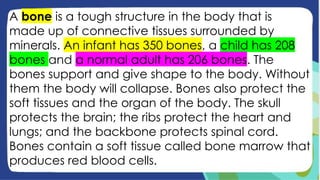 A bone is a tough structure in the body that is
made up of connective tissues surrounded by
minerals. An infant has 350 bones, a child has 208
bones and a normal adult has 206 bones. The
bones support and give shape to the body. Without
them the body will collapse. Bones also protect the
soft tissues and the organ of the body. The skull
protects the brain; the ribs protect the heart and
lungs; and the backbone protects spinal cord.
Bones contain a soft tissue called bone marrow that
produces red blood cells.
 