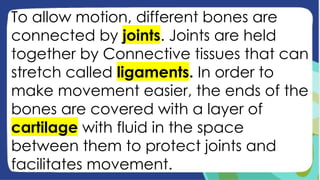To allow motion, different bones are
connected by joints. Joints are held
together by Connective tissues that can
stretch called ligaments. In order to
make movement easier, the ends of the
bones are covered with a layer of
cartilage with fluid in the space
between them to protect joints and
facilitates movement.
 