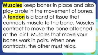 Muscles keep bones in place and also
play a role in the movement of bones.
A tendon is a band of tissue that
connects muscle to the bone. Muscles
contract to move the bone attached
at the joint. Muscles that move your
bones work in pairs. When one
contracts, the other must relax.
 
