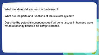 What are ideas did you learn in the lesson?
What are the parts and functions of the skeletal system?
Describe the potential consequences if all bone tissues in humans were
made of spongy bones & no compact bones.
 