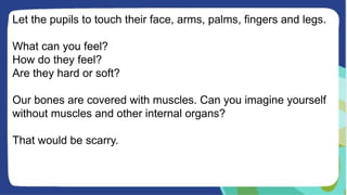 Let the pupils to touch their face, arms, palms, fingers and legs.
What can you feel?
How do they feel?
Are they hard or soft?
Our bones are covered with muscles. Can you imagine yourself
without muscles and other internal organs?
That would be scarry.
 
