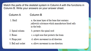Match the parts of the skeletal system in Column A with the functions in
Column B. Write your answers on your answer sheet.
Column A Column B
 