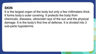 SKIN
It is the largest organ of the body but only a few millimeters thick.
It forms body’s outer covering. It protects the body from
chemicals, diseases, ultraviolet rays of the sun and the physical
damage. It is the body’s first line of defense. It is divided into 3
sub-parts hypodermis.
 