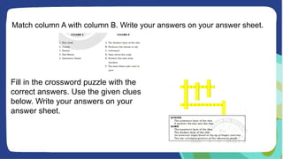 Match column A with column B. Write your answers on your answer sheet.
Fill in the crossword puzzle with the
correct answers. Use the given clues
below. Write your answers on your
answer sheet.
 