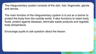 The Integumentary system consists of the skin, hair, fingernails, glands
and nerves.
The main function of the integumentary system is to act as a barrier to
protect the body from the outside world. It also functions to retain body
fluids, protect against diseases, eliminate waste products and regulate
body temperature.
Encourage pupils to ask question about the lesson.
 