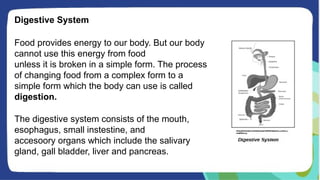 Digestive System
Food provides energy to our body. But our body
cannot use this energy from food
unless it is broken in a simple form. The process
of changing food from a complex form to a
simple form which the body can use is called
digestion.
The digestive system consists of the mouth,
esophagus, small instestine, and
accesoory organs which include the salivary
gland, gall bladder, liver and pancreas.
 