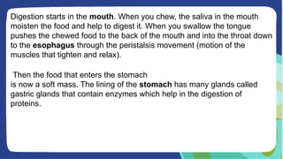Digestion starts in the mouth. When you chew, the saliva in the mouth
moisten the food and help to digest it. When you swallow the tongue
pushes the chewed food to the back of the mouth and into the throat down
to the esophagus through the peristalsis movement (motion of the
muscles that tighten and relax).
Then the food that enters the stomach
is now a soft mass. The lining of the stomach has many glands called
gastric glands that contain enzymes which help in the digestion of
proteins.
 