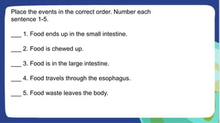 Place the events in the correct order. Number each
sentence 1-5.
___ 1. Food ends up in the small intestine.
___ 2. Food is chewed up.
___ 3. Food is in the large intestine.
___ 4. Food travels through the esophagus.
___ 5. Food waste leaves the body.
 