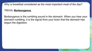 Why is breakfast considered as the most important meal of the day?
TRIVIA: Borborygmus
Borborygmus is the rumbling sound in the stomach. When you hear your
stomach rumbling, it is the signal from your brain that the stomach has
begun the digestion.
 