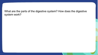 What are the parts of the digestive system? How does the digestive
system work?
 
