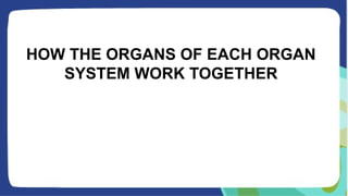HOW THE ORGANS OF EACH ORGAN
SYSTEM WORK TOGETHER
 