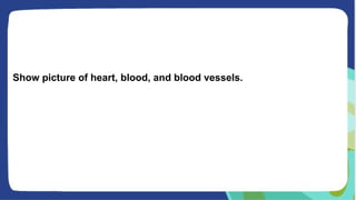 Show picture of heart, blood, and blood vessels.
 