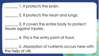 _______ 1. It protects the brain.
_______ 2. It protects the heart and lungs.
_______ 3. It covers the entire body to protect
tissues against injuries.
_______ 4. This is the entry point of food.
_______ 5. Absorption of nutrients occurs here with
the help of villi.
 