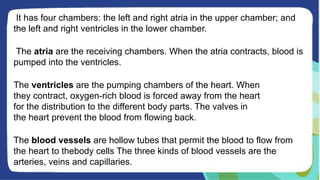 It has four chambers: the left and right atria in the upper chamber; and
the left and right ventricles in the lower chamber.
The atria are the receiving chambers. When the atria contracts, blood is
pumped into the ventricles.
The ventricles are the pumping chambers of the heart. When
they contract, oxygen-rich blood is forced away from the heart
for the distribution to the different body parts. The valves in
the heart prevent the blood from flowing back.
The blood vessels are hollow tubes that permit the blood to flow from
the heart to thebody cells The three kinds of blood vessels are the
arteries, veins and capillaries.
 