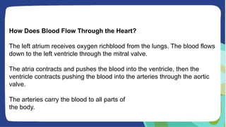 How Does Blood Flow Through the Heart?
The left atrium receives oxygen richblood from the lungs. The blood flows
down to the left ventricle through the mitral valve.
The atria contracts and pushes the blood into the ventricle, then the
ventricle contracts pushing the blood into the arteries through the aortic
valve.
The arteries carry the blood to all parts of
the body.
 