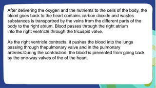 After delivering the oxygen and the nutrients to the cells of the body, the
blood goes back to the heart contains carbon dioxide and wastes
substances is transportred by the veins from the different parts of the
body to the right atrium. Blood passes through the right atrium
into the right ventricle through the tricuspid valve.
As the right ventricle contracts, it pushes the blood into the lungs
passing through thepulmonary valve and in the pulmonary
arteries.During the contraction, the blood is prevented from going back
by the one-way valves of the of the heart.
 