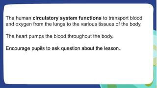 The human circulatory system functions to transport blood
and oxygen from the lungs to the various tissues of the body.
The heart pumps the blood throughout the body.
Encourage pupils to ask question about the lesson..
 