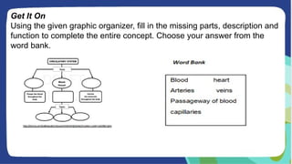 Get It On
Using the given graphic organizer, fill in the missing parts, description and
function to complete the entire concept. Choose your answer from the
word bank.
 