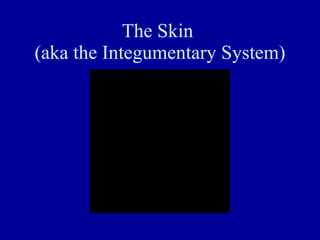 The Skin  (aka the Integumentary System) 
