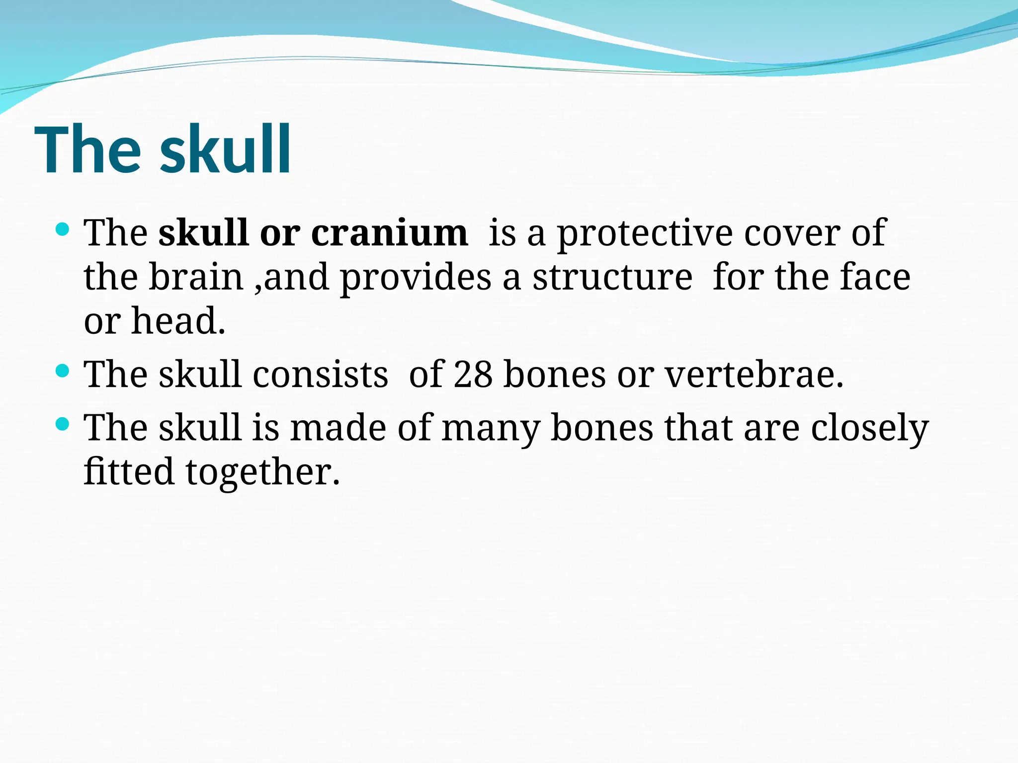The skull
 The skull or cranium is a protective cover of
the brain ,and provides a structure for the face
or head.
 The skull consists of 28 bones or vertebrae.
 The skull is made of many bones that are closely
fitted together.
 