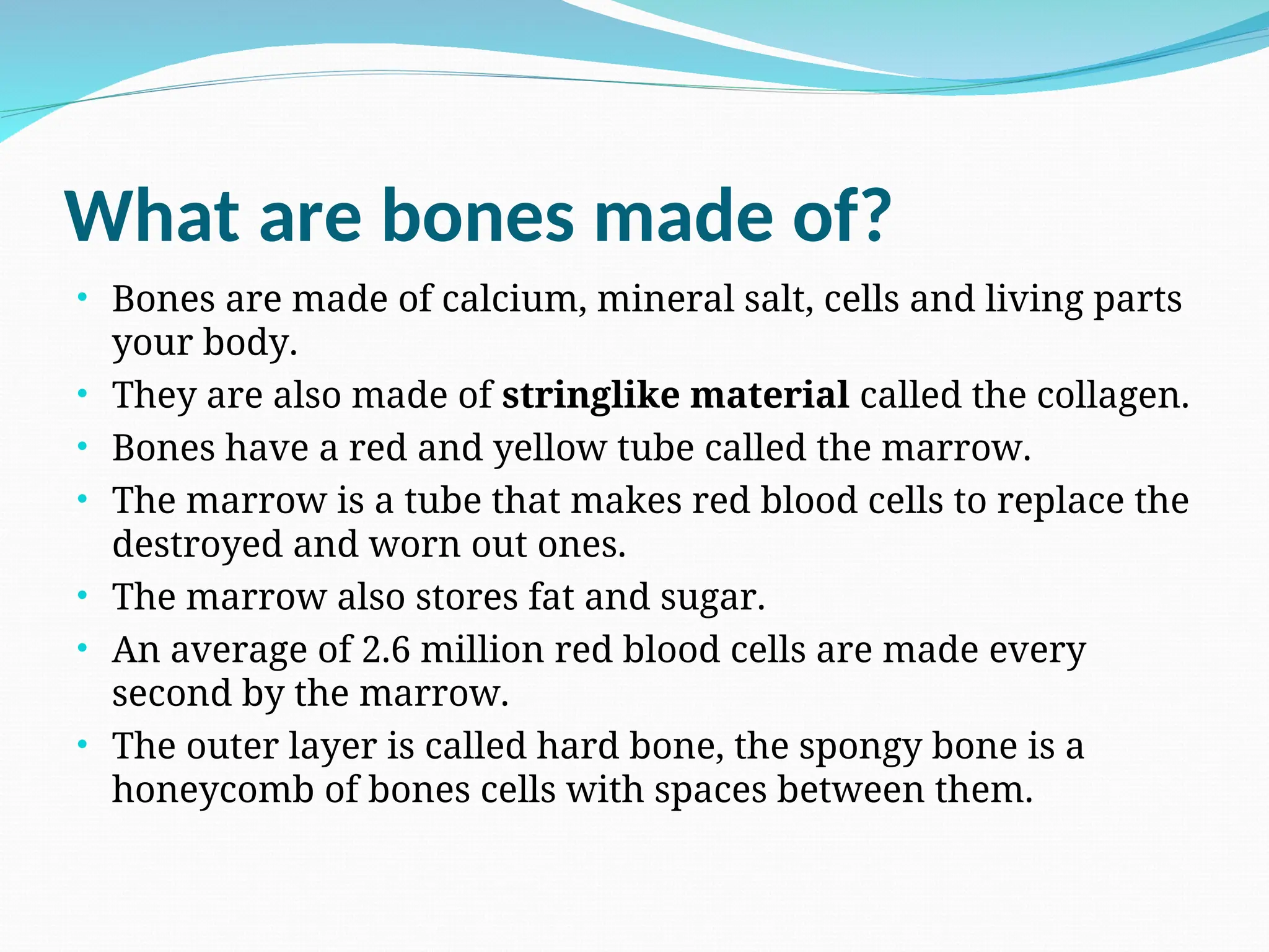 What are bones made of?
• Bones are made of calcium, mineral salt, cells and living parts
your body.
• They are also made of stringlike material called the collagen.
• Bones have a red and yellow tube called the marrow.
• The marrow is a tube that makes red blood cells to replace the
destroyed and worn out ones.
• The marrow also stores fat and sugar.
• An average of 2.6 million red blood cells are made every
second by the marrow.
• The outer layer is called hard bone, the spongy bone is a
honeycomb of bones cells with spaces between them.
 